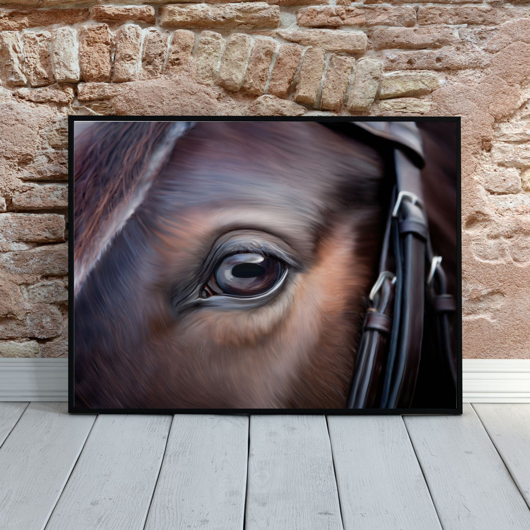 Equine Gaze