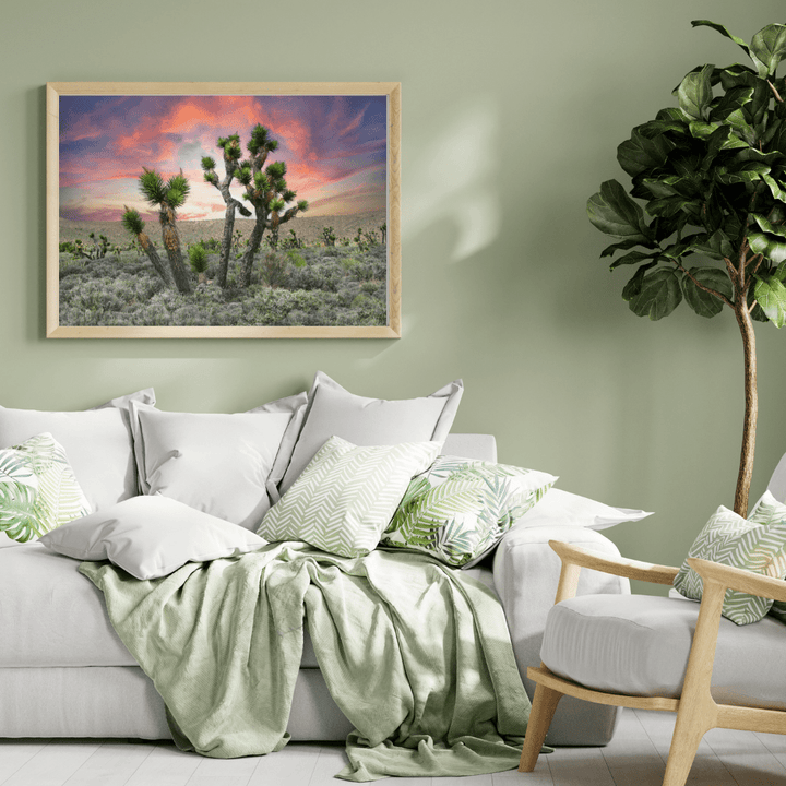 Joshua Trees at Sunset