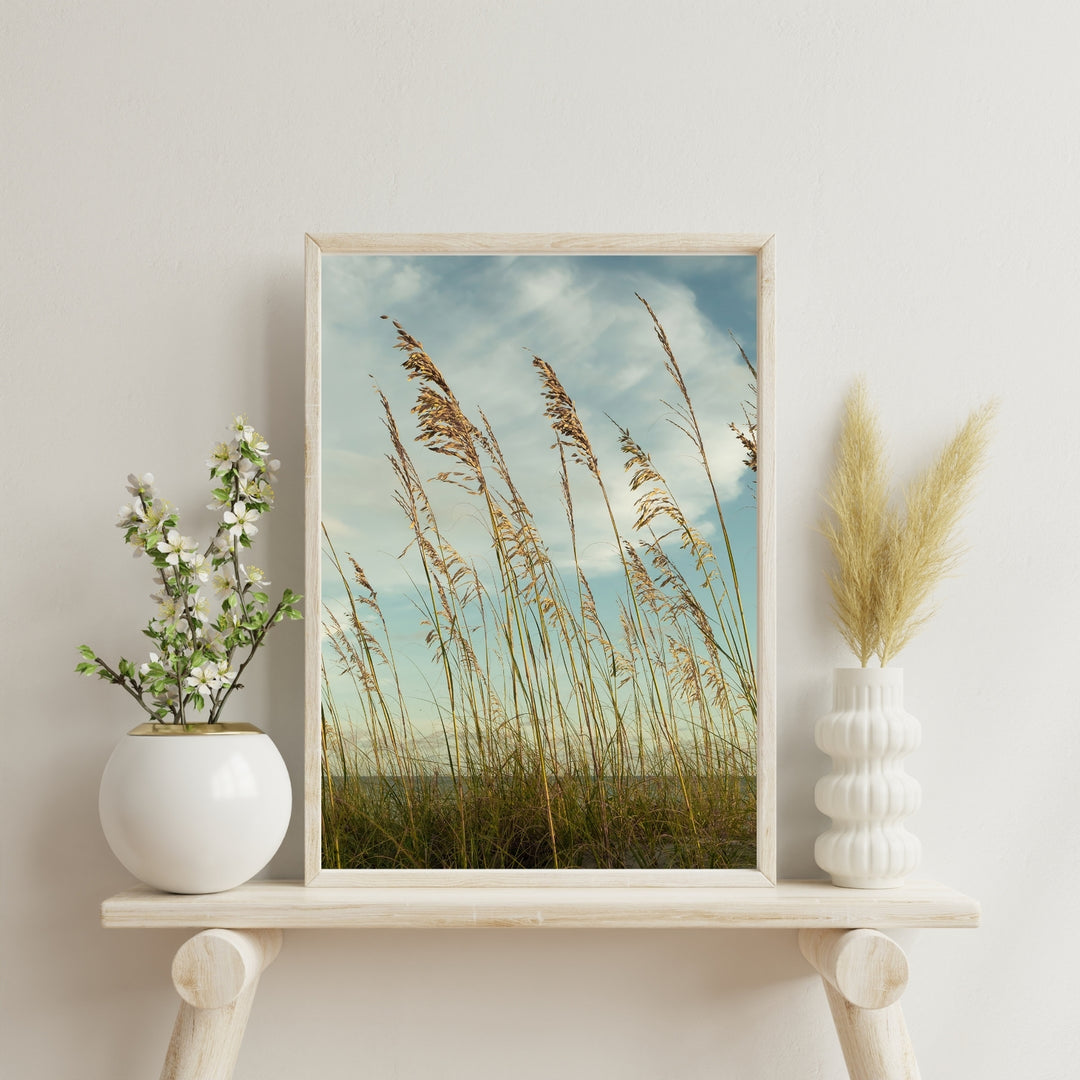 Coastal Whispers