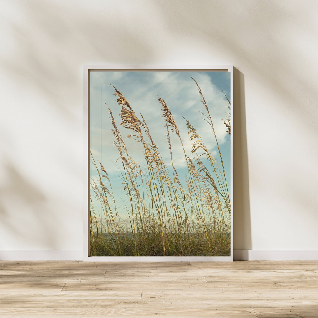 Coastal Whispers