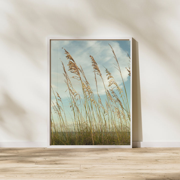Coastal Whispers