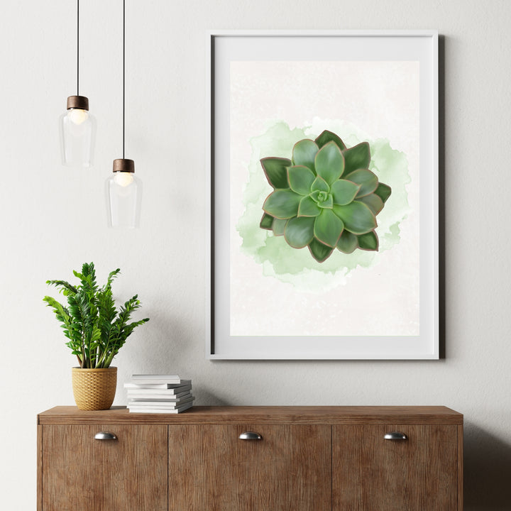 Watercolor Echeveria Pulidonis