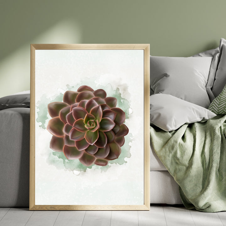 Watercolor Echeveria Chroma