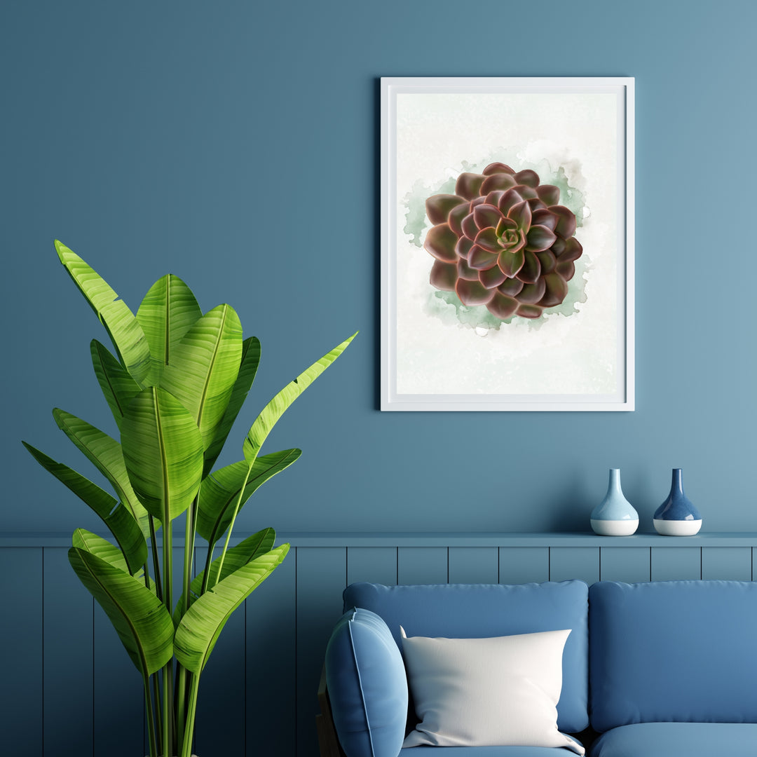 Watercolor Echeveria Chroma