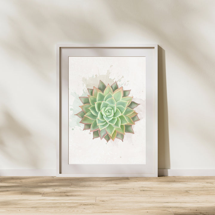 Watercolor Echeveria Elegans
