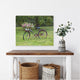 Rusty Bicycle With Flowers Farmhouse Decor