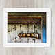 Blue Door Rustic Wood Art Print - Catch A Star Fine Art