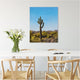 Saguaro Cactus Landscape