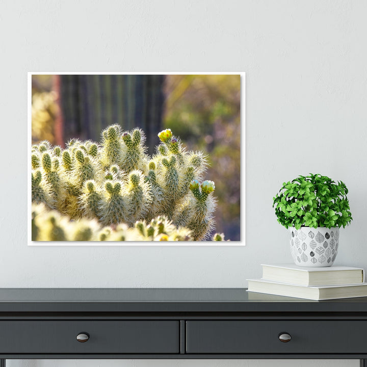 Cactus Closeup #2