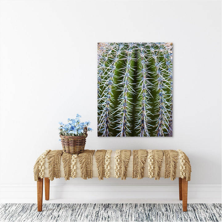 Cactus Close Up Art Print