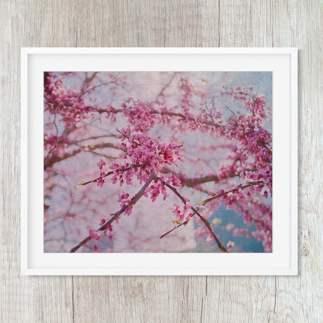 Cherry Blossom Pink Botanical Close Up Art Print - Catch A Star Fine Art
