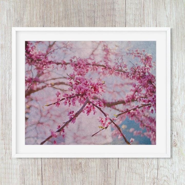 Cherry Blossom Pink Botanical Close Up Art Print - Catch A Star Fine Art