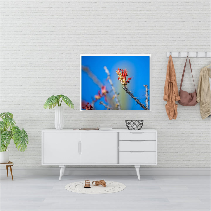 Red Desert Cactus Bloom