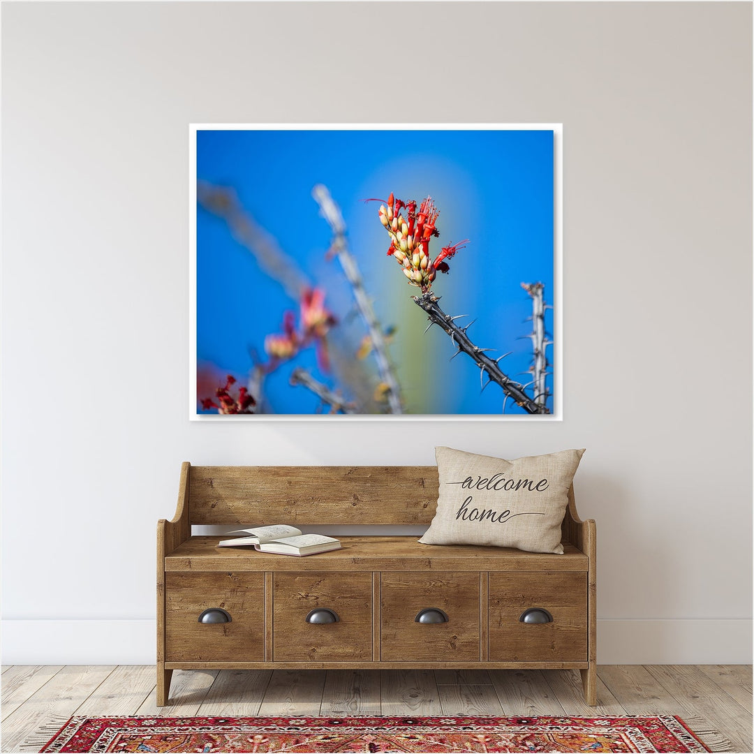 Red Desert Cactus Bloom