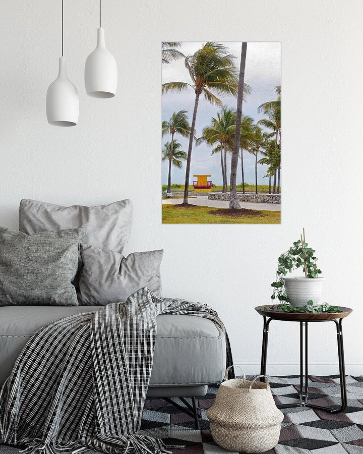 Miami Beach Photography, Palm Tree Wall Art Prints