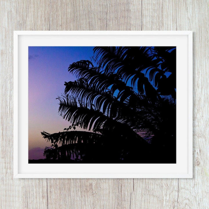 Tropical Sunset Purple Palm Frond Silhouette - Catch A Star Fine Art