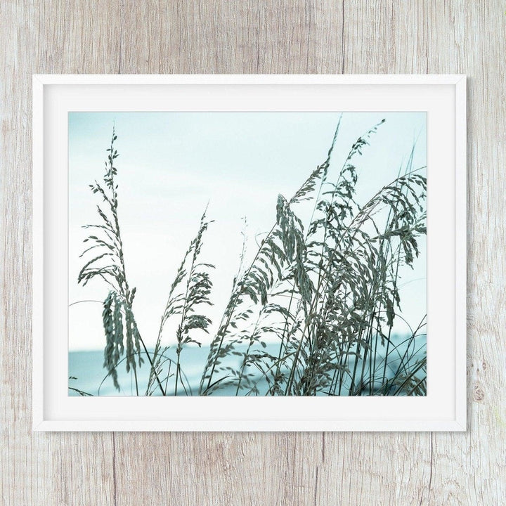 Sea Oats Turquoise Waters #3 - Catch A Star Fine Art