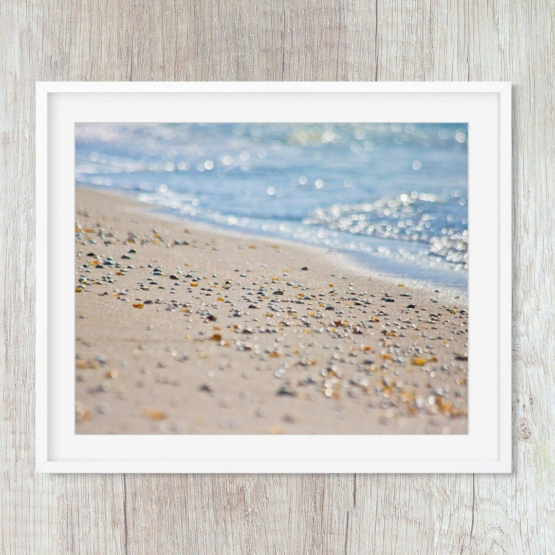 Abstract Coastal Decor, Seashell Beach Wall Art - Catch A Star Fine Art
