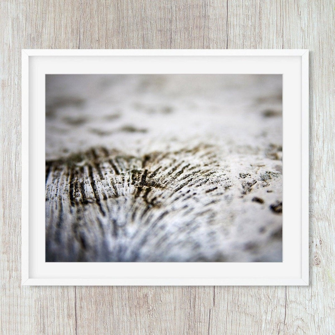 Coral Abstract Print - Catch A Star Fine Art
