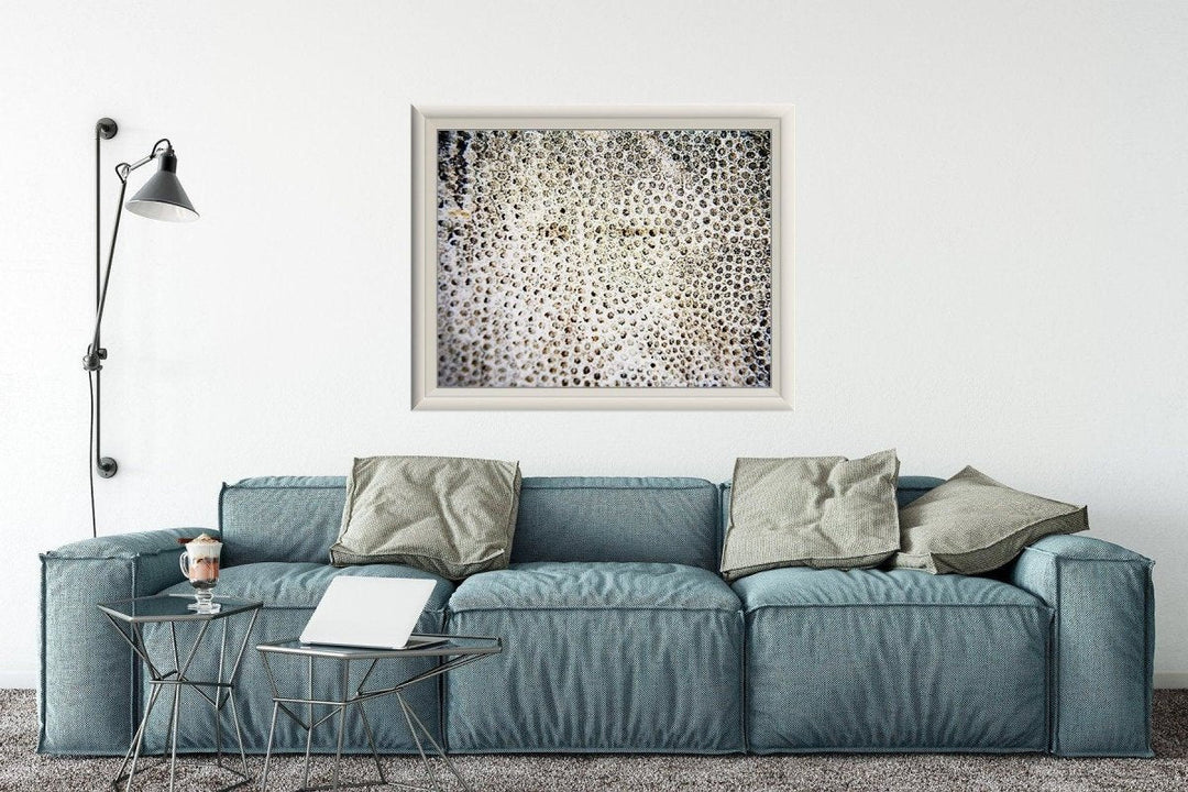 Abstract Coral Close-up Minimalist Print - Catch A Star Fine Art