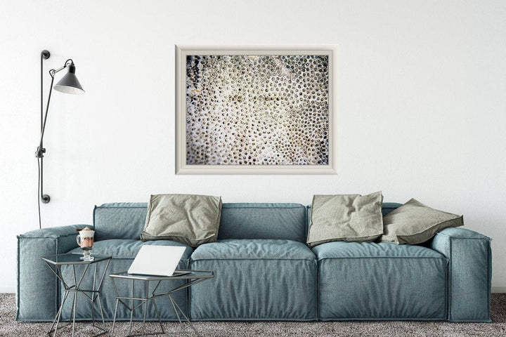 Abstract Coral Close-up Minimalist Print - Catch A Star Fine Art