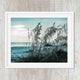 Sea Oats Turquoise Waters #4 - Catch A Star Fine Art