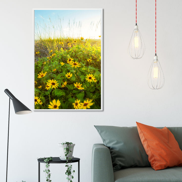 Beach Sunflowers