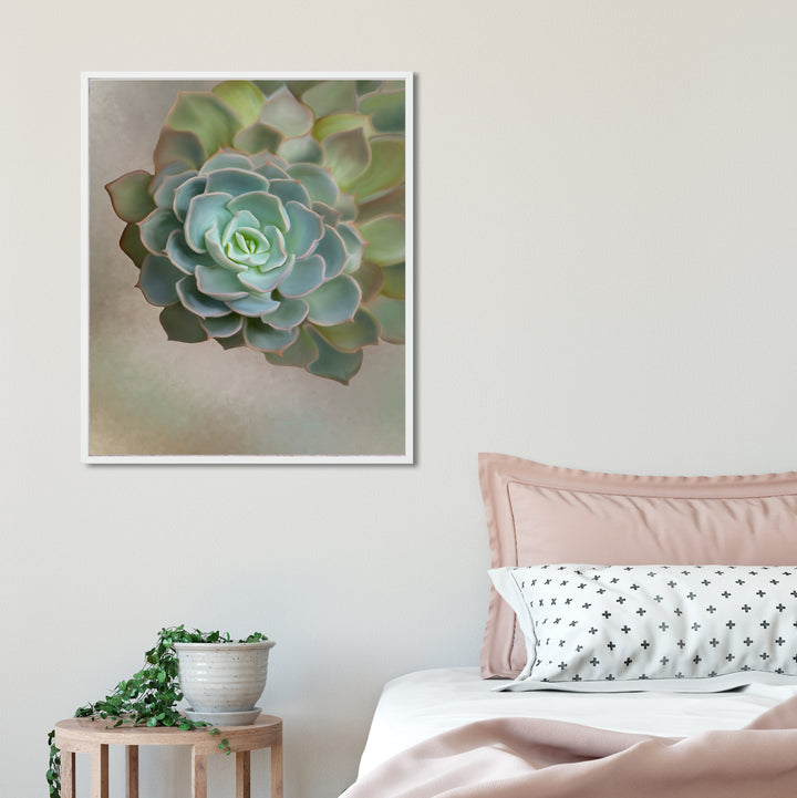 Flourishing Echeveria #3