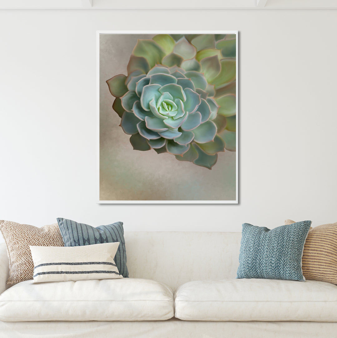Flourishing Echeveria #3