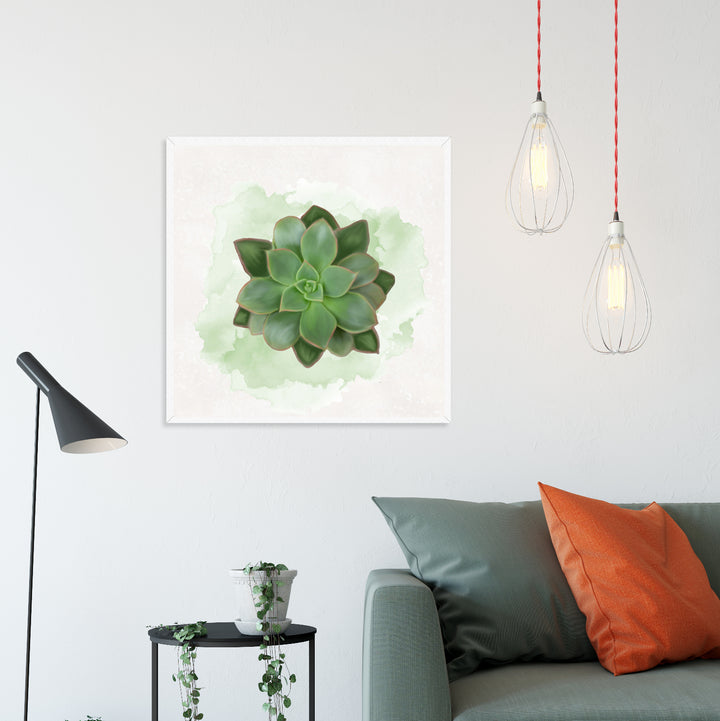 Watercolor Echeveria Pulidonis