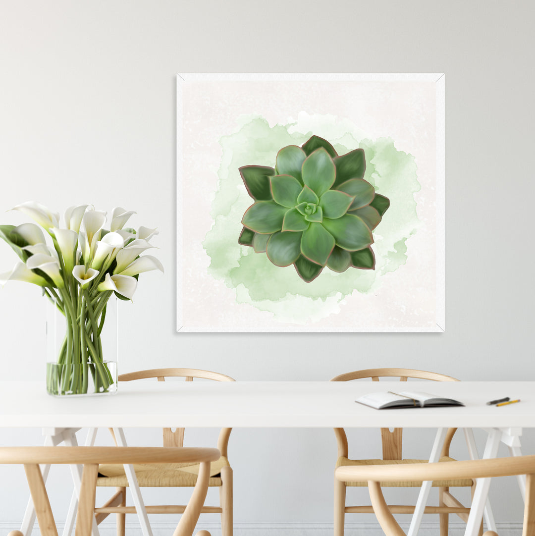 Watercolor Echeveria Pulidonis