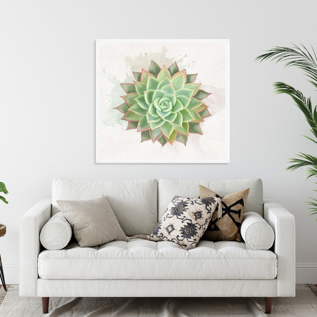 Watercolor Echeveria Elegans