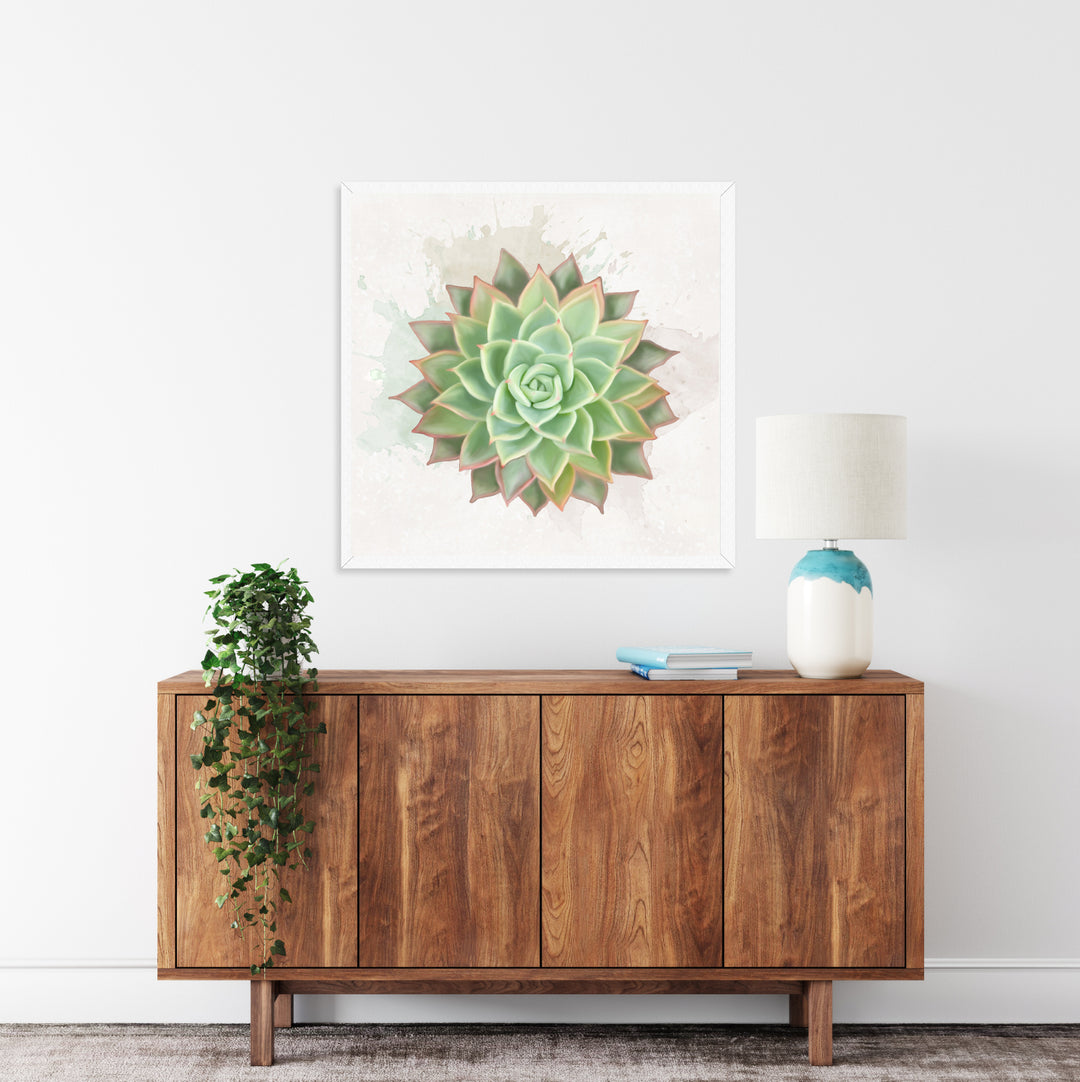 Watercolor Echeveria Elegans