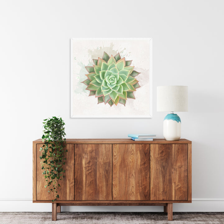 Watercolor Echeveria Elegans