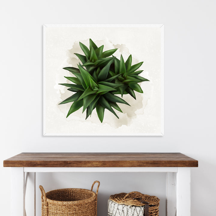 Watercolor Fairy Washboard Succulent