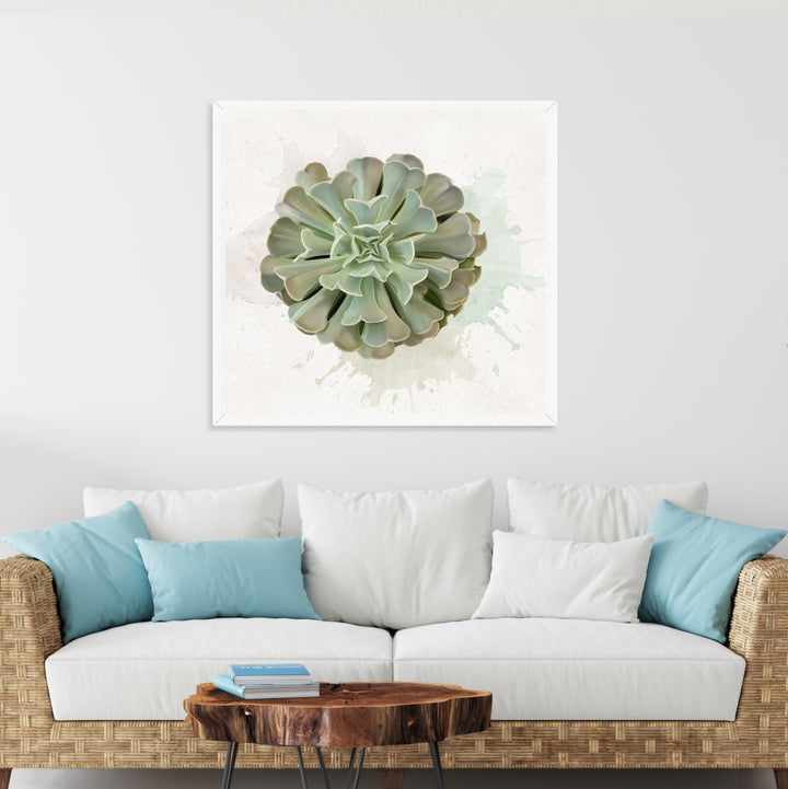 Watercolor Pinwheel Succulent