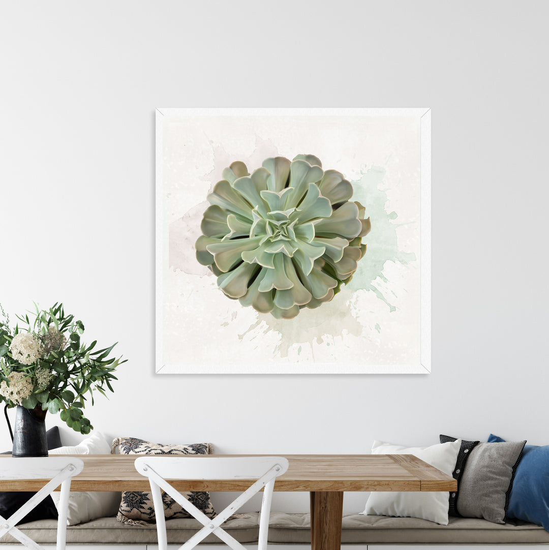 Watercolor Pinwheel Succulent
