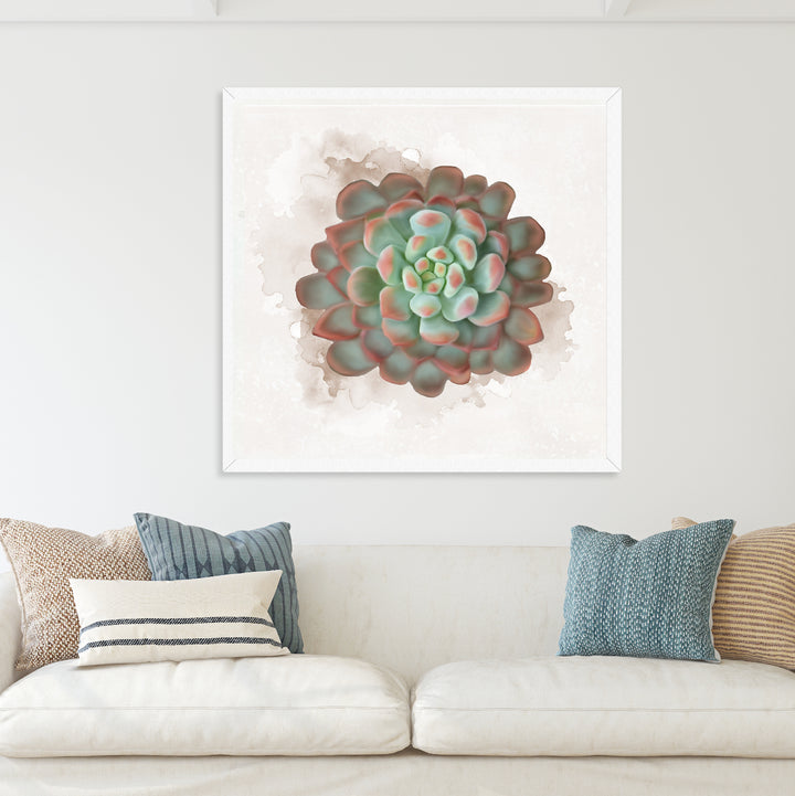 Watercolor Raindrops Succulent