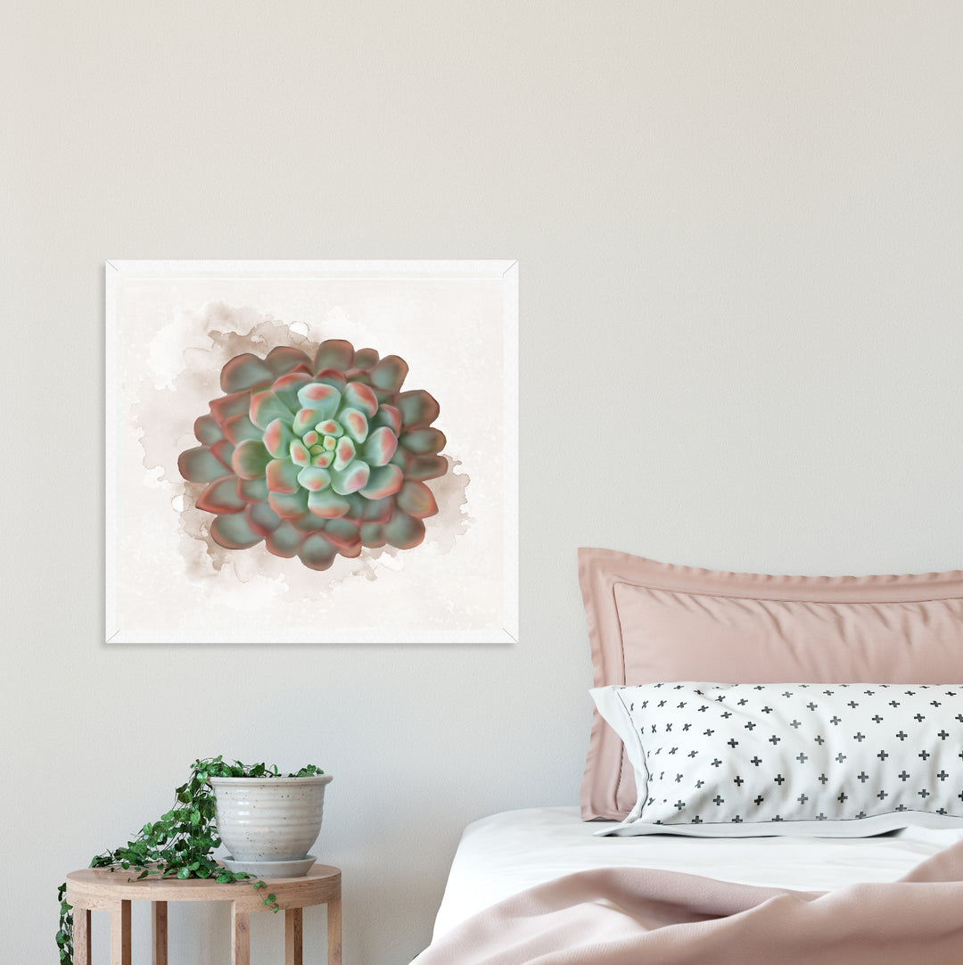 Watercolor Raindrops Succulent