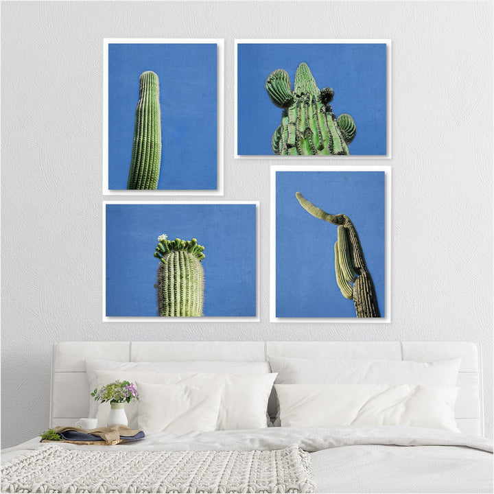 Saguaro Cactus Collection - set of 4