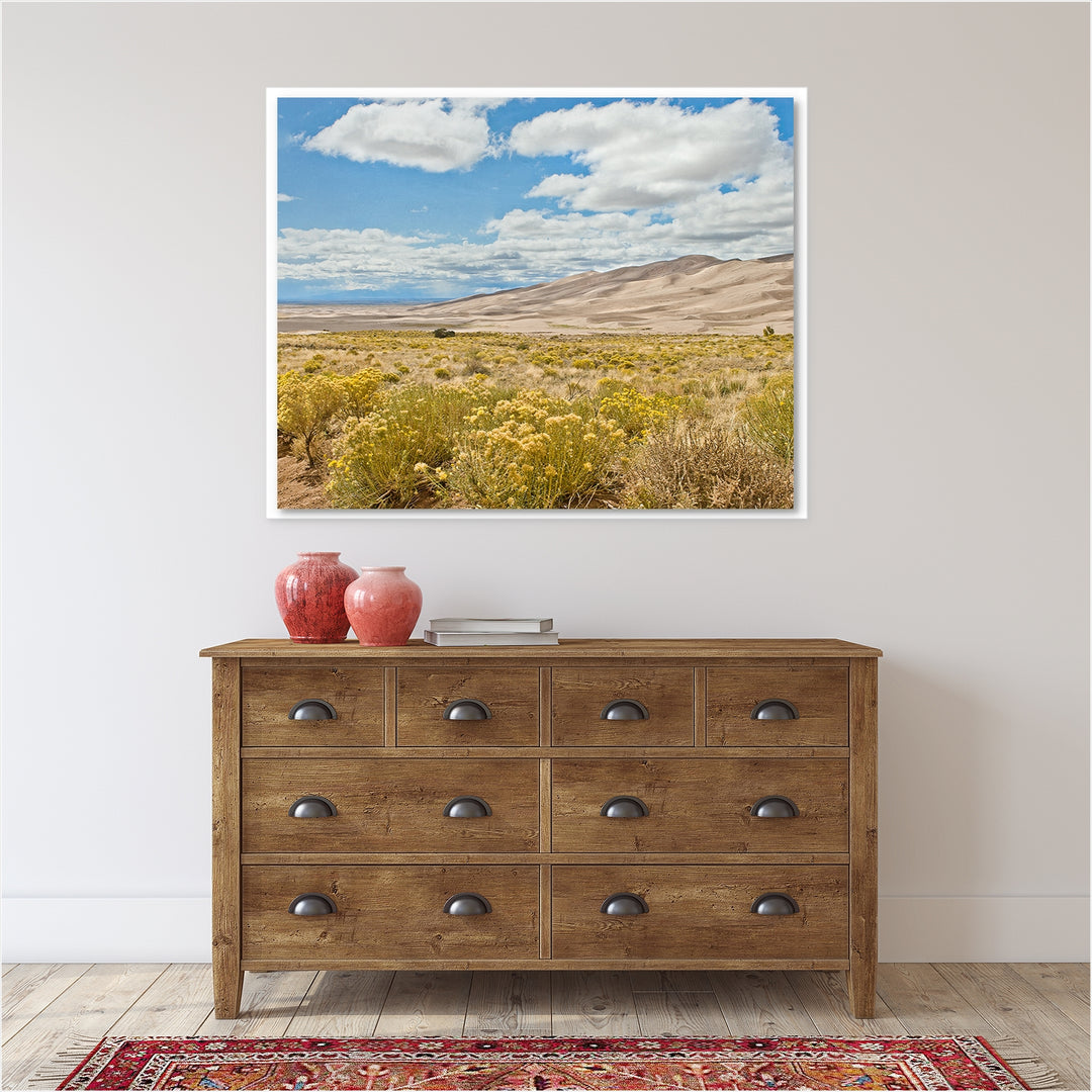 Great Sand Dunes #3