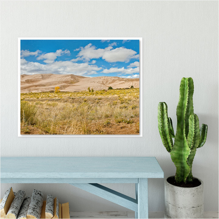 Great Sand Dunes #4
