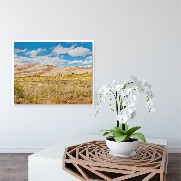Great Sand Dunes #4