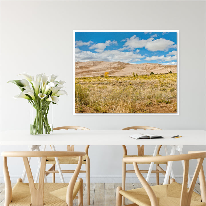 Great Sand Dunes #4