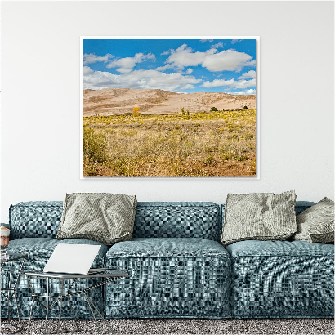Great Sand Dunes #4
