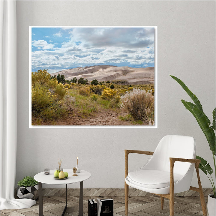 Great Sand Dunes #6