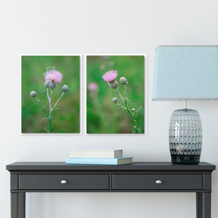 Thistle Collection 1 - Set of 2