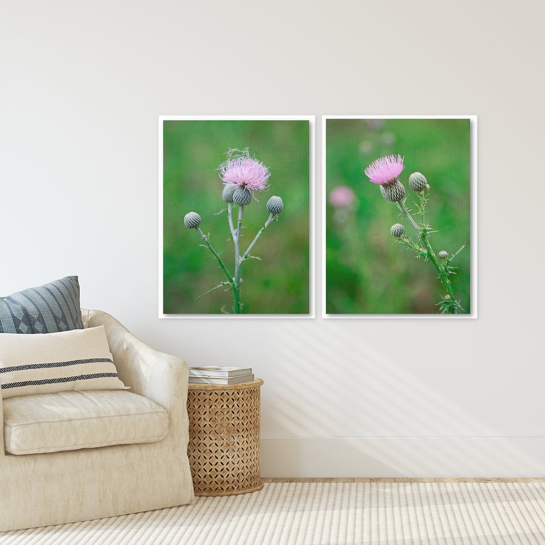 Thistle Collection 1 - Set of 2