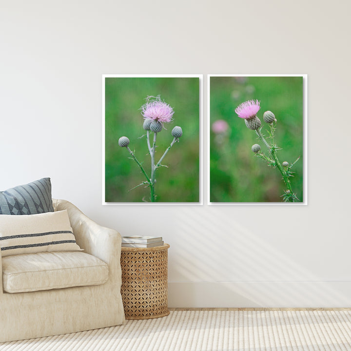 Thistle Collection 1 - Set of 2