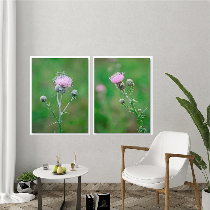 Thistle Collection 1 - Set of 2